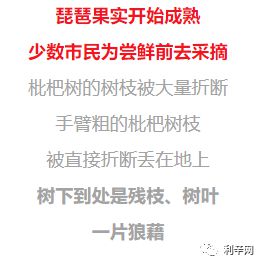 利辛网最新动态一网打尽，新鲜资讯尽在掌握！