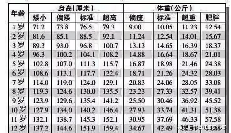 小巷深处的独特风情探索