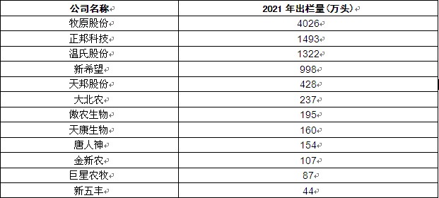 今日生猪价格深度分析与观点阐述，最新信息一览