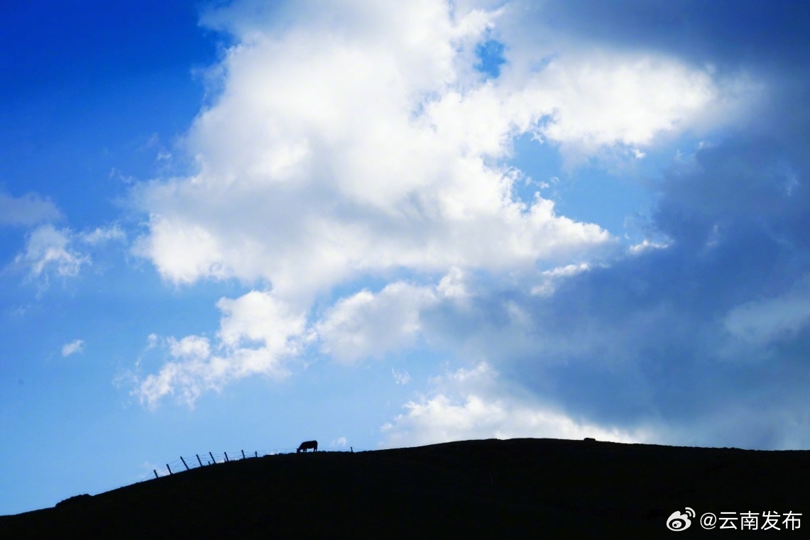 盖聂踏遍美景，探寻内心宁静之地