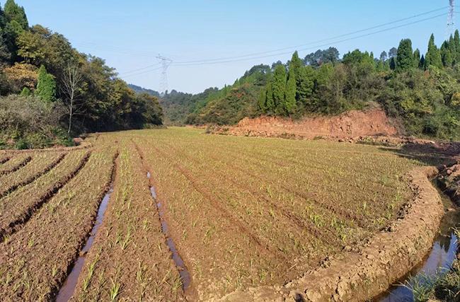 科技重塑生活，最新食盐价格与智能食盐引领未来趋势