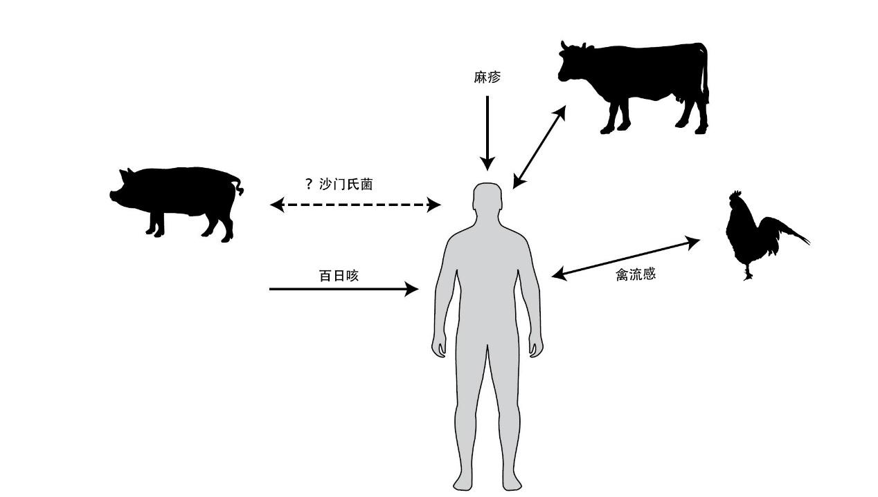 揭秘病毒起源，守护健康的新线索🔍💪