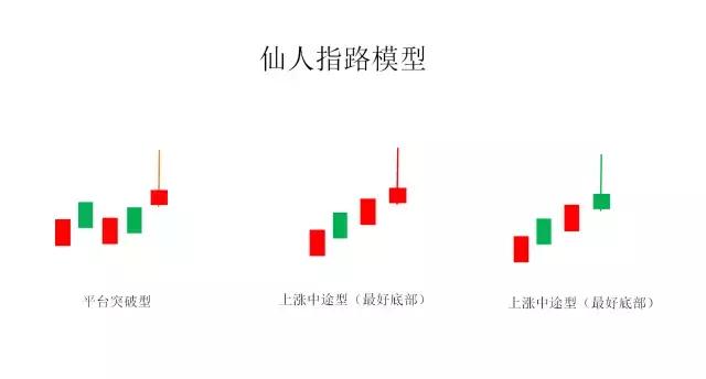 仙人指路股票，学习成长之路，自信闪耀股市之路