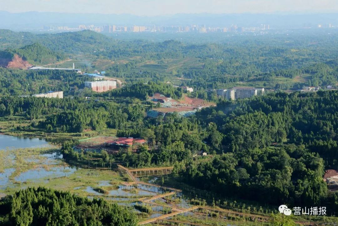 四川省营山县最新消息,四川省营山县最新消息及其相关观点论述