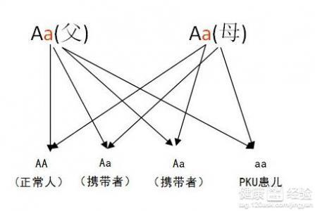 丙酮最新报价解析，专业解读市场动态，助你掌握市场动态情报！